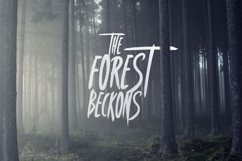 10. Font The Forest Font
