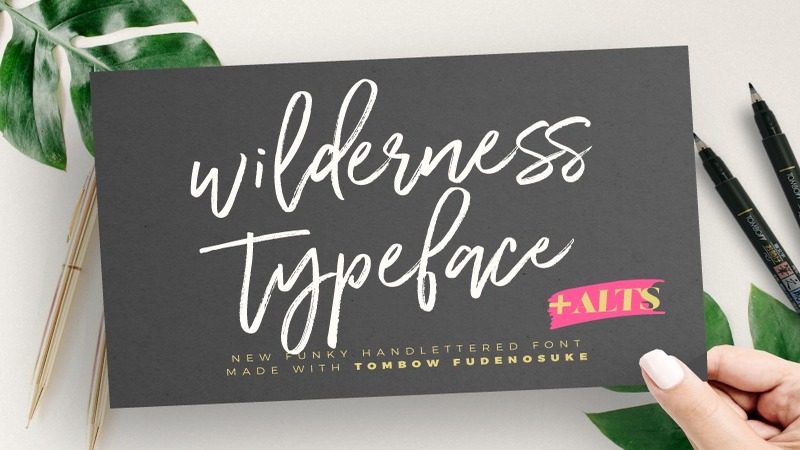 10. Wilderness Typeface Font