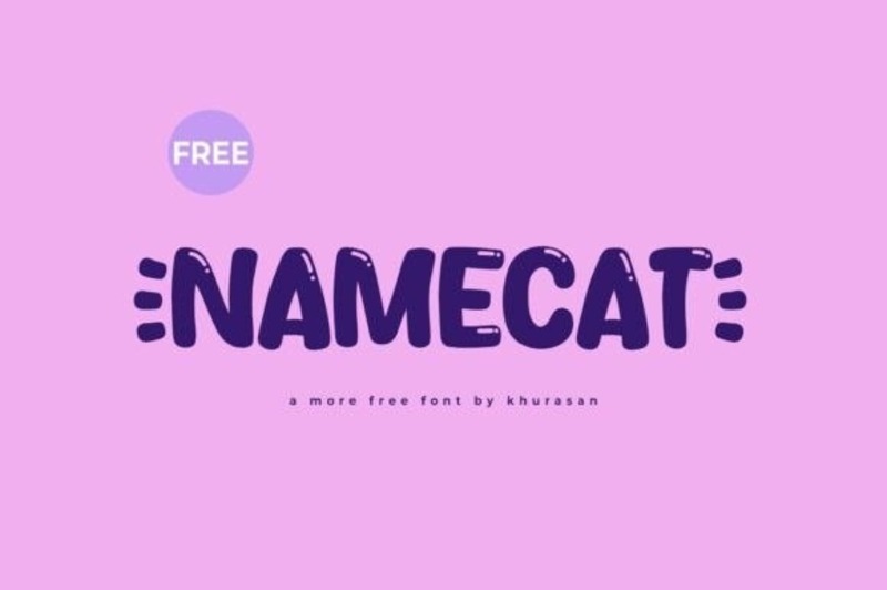 14. Namecat Font