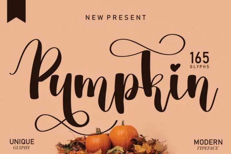 20. Pumpkin Typeface Font