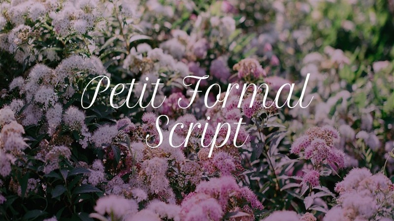 4. Petit Formal Script Font