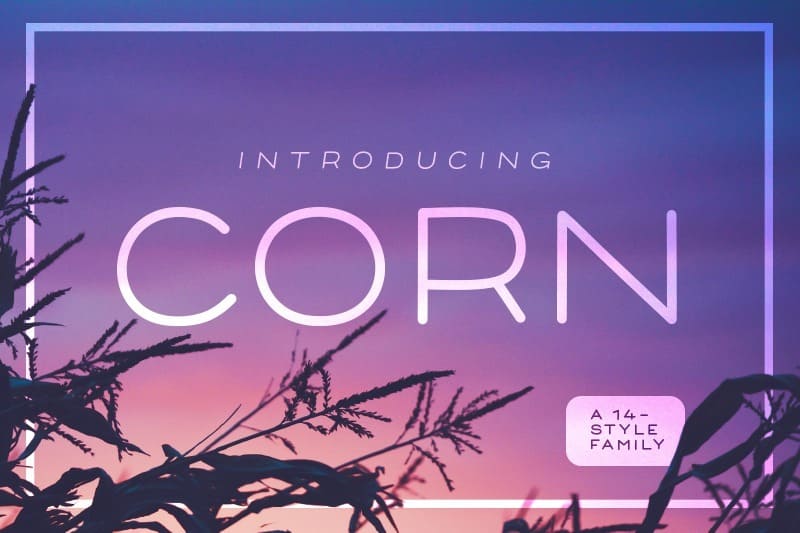 7. Corn Font