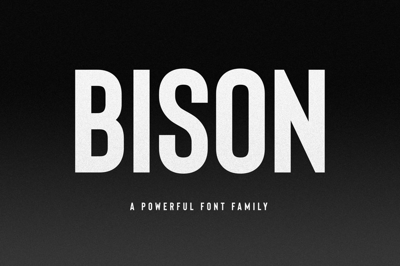 11. Font Bison
