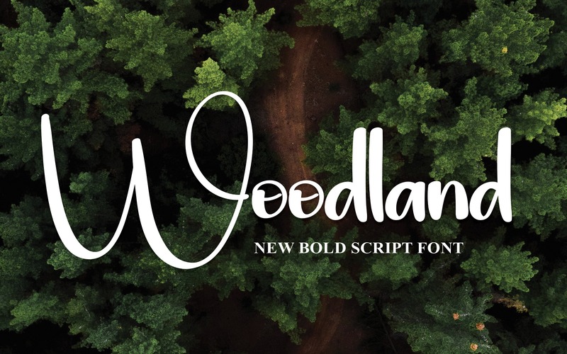 13. Woodlands Font