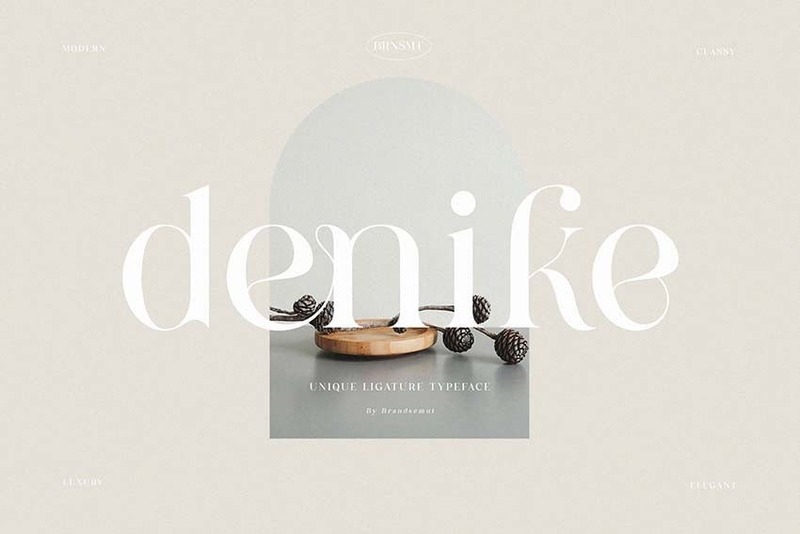 14. Denike Stylish Modern Serif Font