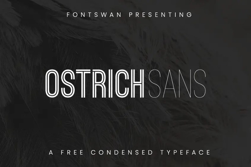 14. Ostrich Sans Inline Font