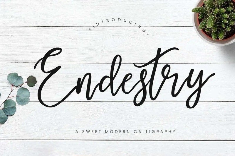 19. Endestry Modern Calligraphy Font