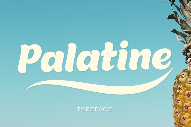 3. Palatin Font