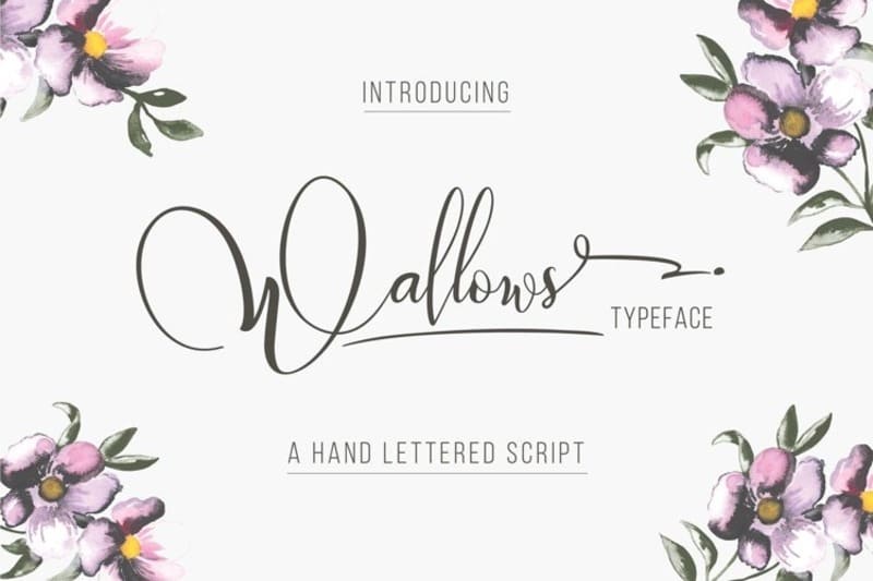 5. Wallows Font  