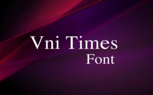 4. Vni - Times Font 